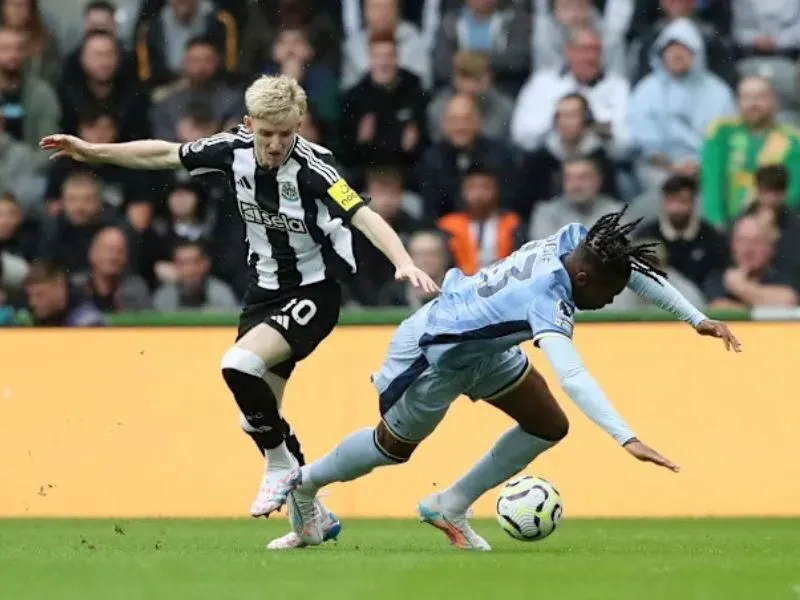 Phân tích chi tiết số liệu thống kê về Newcastle gặp Tottenham