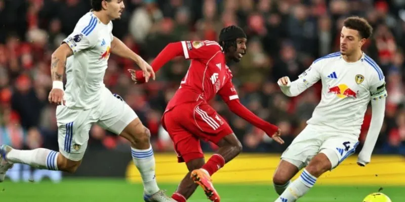 Cách sử dụng cho người mới